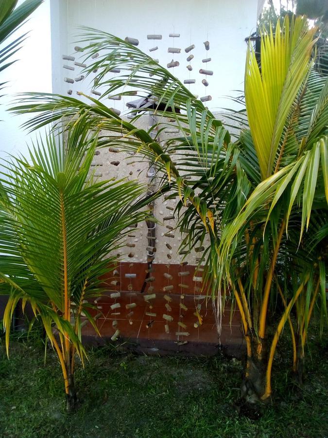 Maison Amantine Anse Royale Ngoại thất bức ảnh
